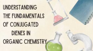 Fundamentals of Conjugated Dienes