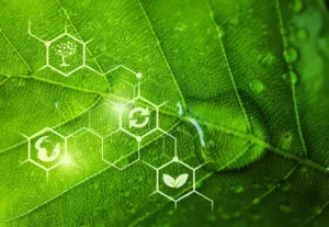What Are the 12 Principles of Green Chemistry? A Complete Beginner's Guide