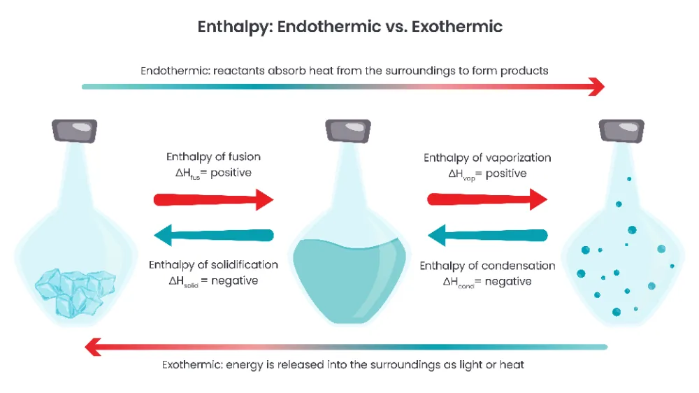 Endothermic and Exothermic