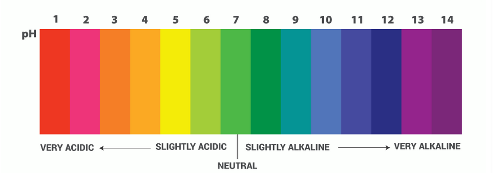 The Science Behind pH