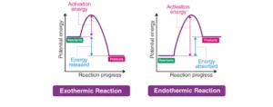 Exothermic Reactions