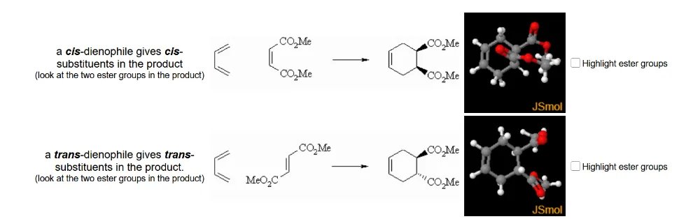 Dienophile Stereochemistry Is Preserved