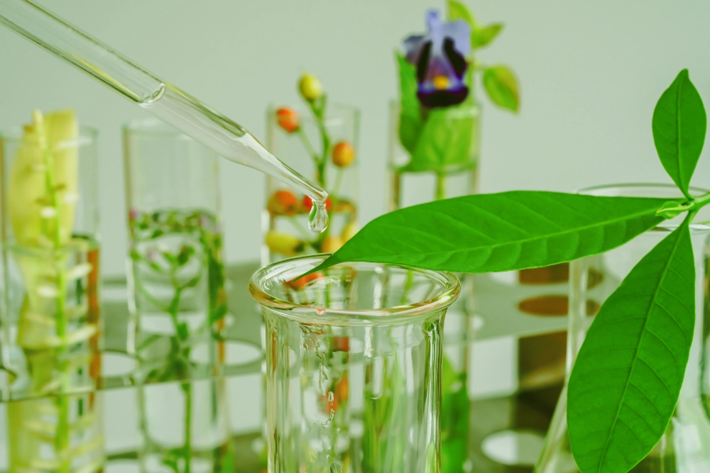 What is Organic Chemistry